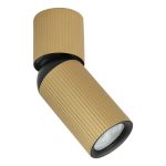 Plafonska lampa AFS117-1C SG-kelvinlite