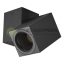 Plafonska lampa AFS100-1C crna