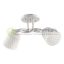 Plafonska Lampa MD2726-2
