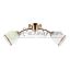 Plafonska Lampa MD2734-2 GD