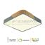Plafonska lampa F2812-30C GY+WD